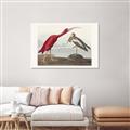 Picture of Vintage Scarlet Ibis Bird _GroupedProduct_Rectangle_Landscape_Canvas_