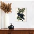 Picture of Raven From Birds of America (1827) _GroupedProduct_Rectangle_Portrait_Canvas_