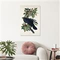 Picture of Raven From Birds of America (1827) _GroupedProduct_Rectangle_Portrait_Canvas_