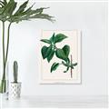 Picture of Nostalgic Green Lilac Leaves _GroupedProduct_Rectangle_Portrait_Canvas_