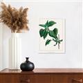Picture of Nostalgic Green Lilac Leaves _GroupedProduct_Rectangle_Portrait_Canvas_