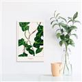 Picture of Nostalgic Green Murgrona Leaves _GroupedProduct_Rectangle_Portrait_Canvas_