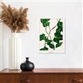 Picture of Nostalgic Green Murgrona Leaves _GroupedProduct_Rectangle_Portrait_Canvas_