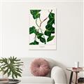 Picture of Nostalgic Green Murgrona Leaves _GroupedProduct_Rectangle_Portrait_Canvas_