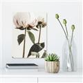 Picture of Romantic Blur Peony IV _GroupedProduct_Rectangle_Portrait_Photography _GroupedProduct_Rectangle_Portrait_Canvas_
