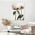 Picture of Romantic Blur Peony IV _GroupedProduct_Rectangle_Portrait_Photography _GroupedProduct_Rectangle_Portrait_Canvas_