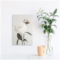 Picture of Romantic Blur Peony III _GroupedProduct_Rectangle_Portrait_Photography _GroupedProduct_Rectangle_Portrait_Canvas_