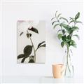 Picture of Romantic Blur Peony II _GroupedProduct_Rectangle_Portrait_Photography _GroupedProduct_Rectangle_Portrait_Canvas_