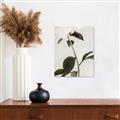 Picture of Romantic Blur Peony II _GroupedProduct_Rectangle_Portrait_Photography _GroupedProduct_Rectangle_Portrait_Canvas_