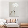 Picture of Romantic Blur Peony I _GroupedProduct_Rectangle_Portrait_Photography _GroupedProduct_Rectangle_Portrait_Canvas_