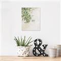 Picture of Few Olive Tree Leaves _GroupedProduct_Rectangle_Portrait_Photography _GroupedProduct_Rectangle_Portrait_Canvas_