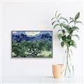 Picture of Vincent Van Gogh's Olive Trees With the Alpilles (1889) _GroupedProduct_Rectangle_Landscape_Canvas_Framed_
