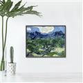 Picture of Vincent Van Gogh's Olive Trees With the Alpilles (1889) _GroupedProduct_Rectangle_Landscape_Canvas_Framed_