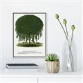 Picture of Kilmarnock Weeping Willow Tree Lithograph _GroupedProduct_Rectangle_Portrait_Canvas_Framed_