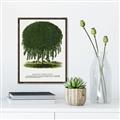 Picture of Kilmarnock Weeping Willow Tree Lithograph _GroupedProduct_Rectangle_Portrait_Canvas_Framed_