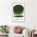 Picture of Kilmarnock Weeping Willow Tree Lithograph _GroupedProduct_Rectangle_Portrait_Canvas_Framed_