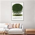 Picture of Kilmarnock Weeping Willow Tree Lithograph _GroupedProduct_Rectangle_Portrait_Canvas_Framed_