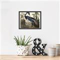 Picture of Vintage Heron Bird _GroupedProduct_Rectangle_Landscape_Canvas_Framed_