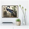 Picture of Vintage Heron Bird _GroupedProduct_Rectangle_Landscape_Canvas_Framed_