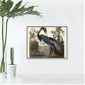 Picture of Vintage Heron Bird _GroupedProduct_Rectangle_Landscape_Canvas_Framed_
