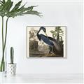 Picture of Vintage Heron Bird _GroupedProduct_Rectangle_Landscape_Canvas_Framed_
