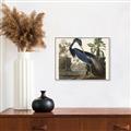 Picture of Vintage Heron Bird _GroupedProduct_Rectangle_Landscape_Canvas_Framed_
