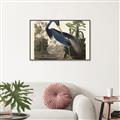 Picture of Vintage Heron Bird _GroupedProduct_Rectangle_Landscape_Canvas_Framed_