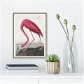Picture of Vintage Pink Flamingo _GroupedProduct_Rectangle_Portrait_Canvas_Framed_