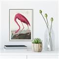 Picture of Vintage Pink Flamingo _GroupedProduct_Rectangle_Portrait_Canvas_Framed_
