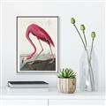 Picture of Vintage Pink Flamingo _GroupedProduct_Rectangle_Portrait_Canvas_Framed_