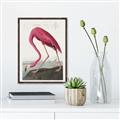 Picture of Vintage Pink Flamingo _GroupedProduct_Rectangle_Portrait_Canvas_Framed_
