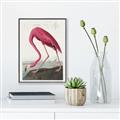 Picture of Vintage Pink Flamingo _GroupedProduct_Rectangle_Portrait_Canvas_Framed_