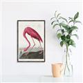 Picture of Vintage Pink Flamingo _GroupedProduct_Rectangle_Portrait_Canvas_Framed_