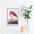 Picture of Vintage Pink Flamingo _GroupedProduct_Rectangle_Portrait_Canvas_Framed_