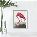 Picture of Vintage Pink Flamingo _GroupedProduct_Rectangle_Portrait_Canvas_Framed_