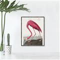 Picture of Vintage Pink Flamingo _GroupedProduct_Rectangle_Portrait_Canvas_Framed_