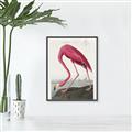 Picture of Vintage Pink Flamingo _GroupedProduct_Rectangle_Portrait_Canvas_Framed_