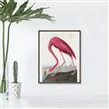 Picture of Vintage Pink Flamingo _GroupedProduct_Rectangle_Portrait_Canvas_Framed_