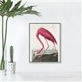 Picture of Vintage Pink Flamingo _GroupedProduct_Rectangle_Portrait_Canvas_Framed_