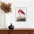 Picture of Vintage Pink Flamingo _GroupedProduct_Rectangle_Portrait_Canvas_Framed_