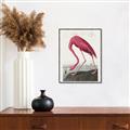 Picture of Vintage Pink Flamingo _GroupedProduct_Rectangle_Portrait_Canvas_Framed_