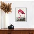 Picture of Vintage Pink Flamingo _GroupedProduct_Rectangle_Portrait_Canvas_Framed_