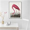 Picture of Vintage Pink Flamingo _GroupedProduct_Rectangle_Portrait_Canvas_Framed_