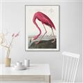 Picture of Vintage Pink Flamingo _GroupedProduct_Rectangle_Portrait_Canvas_Framed_