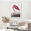 Picture of Vintage Pink Flamingo _GroupedProduct_Rectangle_Portrait_Canvas_Framed_