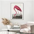 Picture of Vintage Pink Flamingo _GroupedProduct_Rectangle_Portrait_Canvas_Framed_