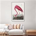 Picture of Vintage Pink Flamingo _GroupedProduct_Rectangle_Portrait_Canvas_Framed_