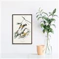 Picture of Two Yellow Warbler Birds _GroupedProduct_Rectangle_Portrait_Canvas_Framed_