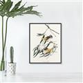 Picture of Two Yellow Warbler Birds _GroupedProduct_Rectangle_Portrait_Canvas_Framed_