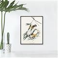 Picture of Two Yellow Warbler Birds _GroupedProduct_Rectangle_Portrait_Canvas_Framed_